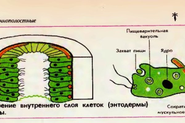 Кракен вход