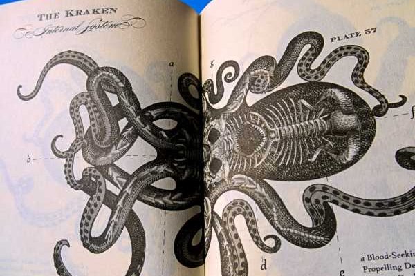 Кракен даркнет ссылка kraken link24 info