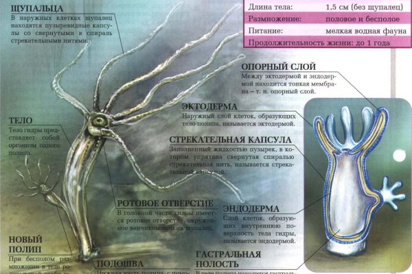 Что такое кракен маркет