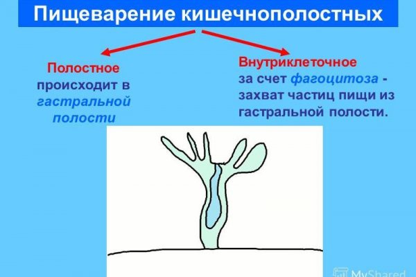 Переход на кракен