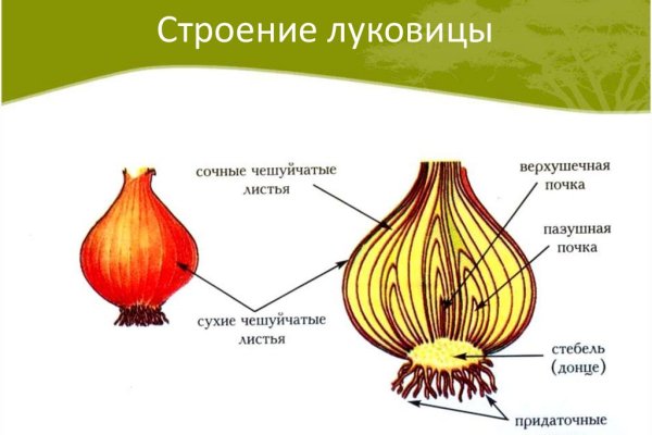 Как зайти на кракен с компа