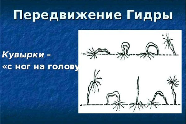 Мега зеркала тор онион мориарти кракен