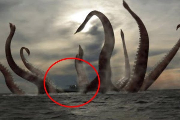Ссылка на kraken at