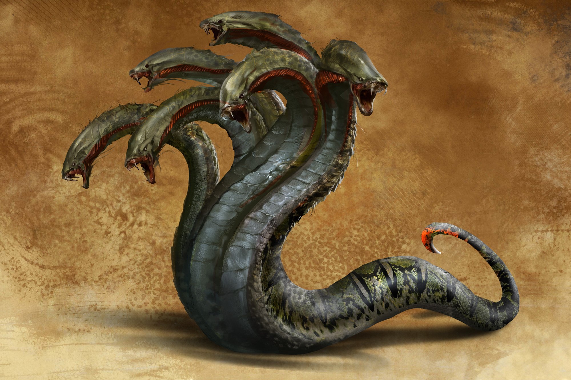 Www kraken 20at net